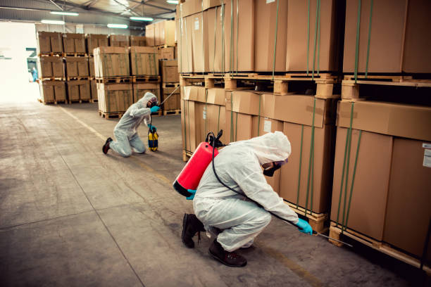 Best Pest Inspection Near Me  in New Haven, CT