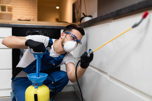 Best Pest Removal Services  in New Haven, CT