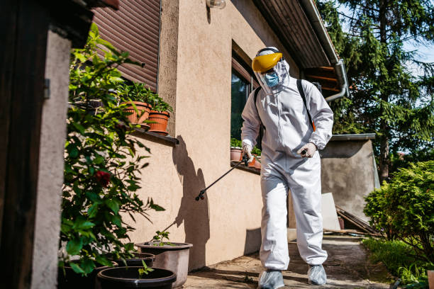 Best Pest Inspection Near Me  in New Haven, CT