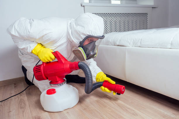 Best Termite Control Services  in New Haven, CT