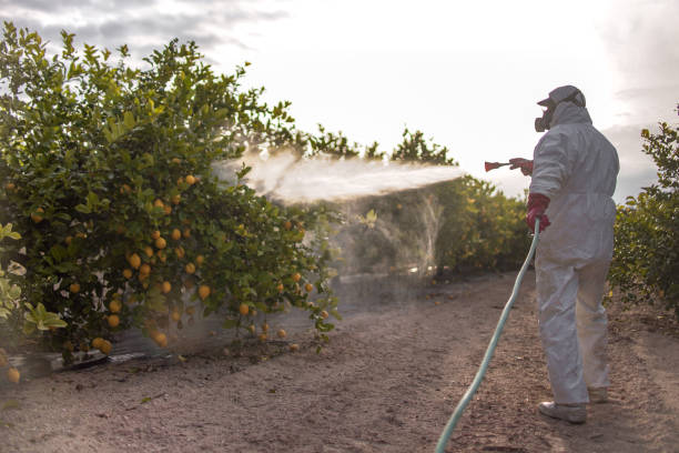 Best Best Pest Control Companies  in New Haven, CT