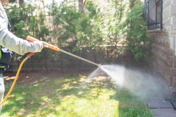 Best Commercial Pest Control Services  in New Haven, CT