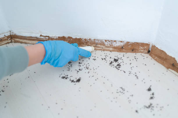 New Haven, CT Pest Control Company