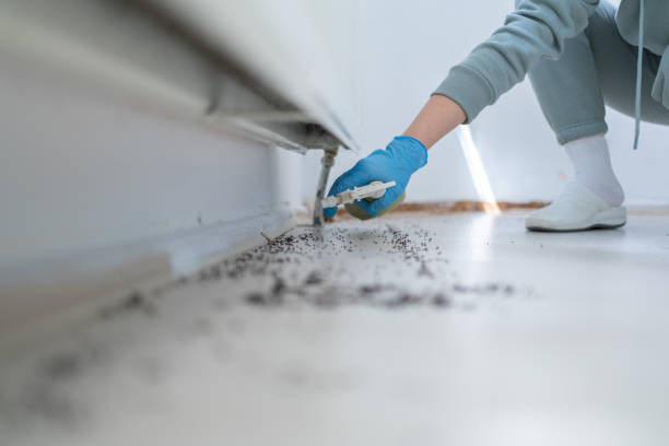Best Pest Prevention Services  in New Haven, CT
